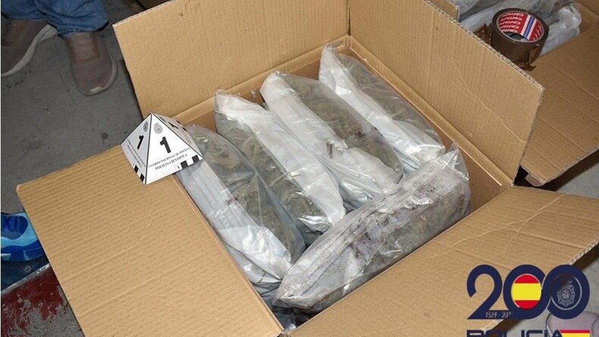 La marihuana se encontraba envasada al vacío y preparada para su distribución