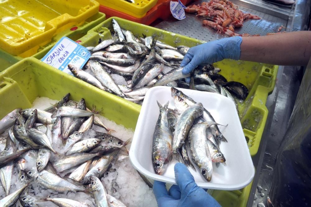 Pocas sardinas en A Coruña en vísperas de San Juan