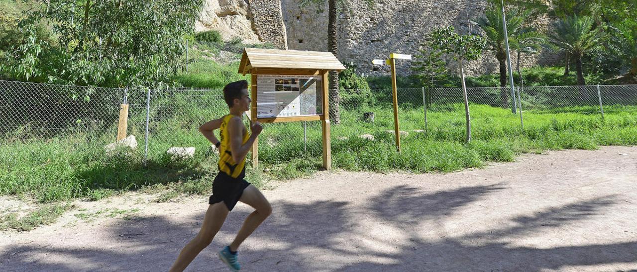 Los corredores podrán volver a la ladera del Vinalopó pero las playas seguirán cerradas