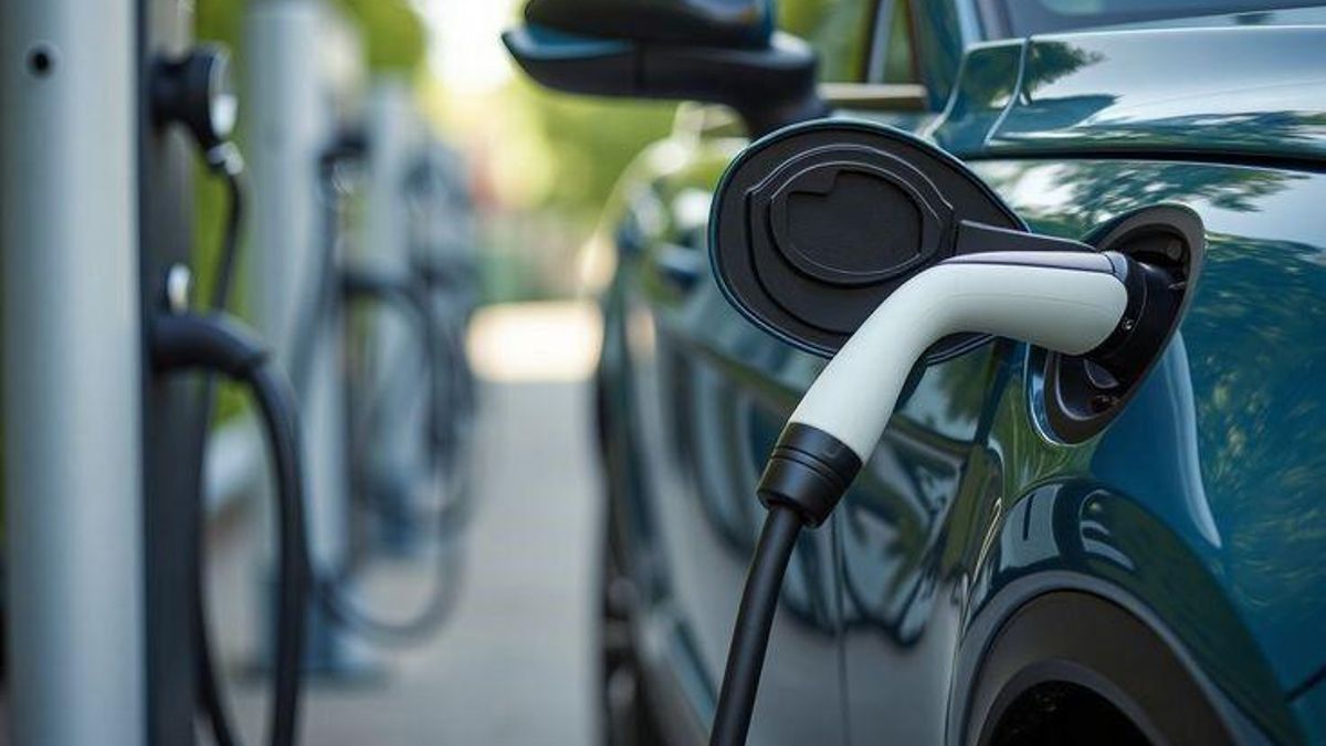 Cargadores de coches eléctricos.