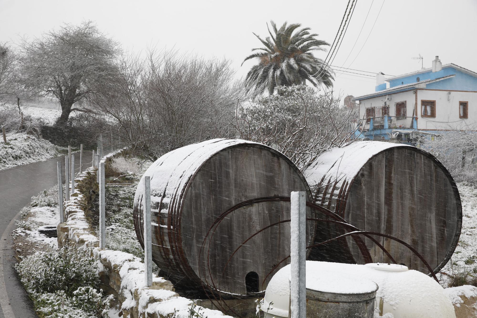 En imágenes: La borrasca Juliette llena de nieve parte de la zona rural de Gijón