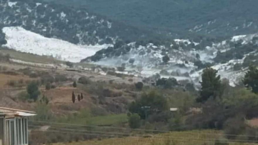 Campos cubiertos de granizo en Paniza. | SERVICIO ESPECIAL