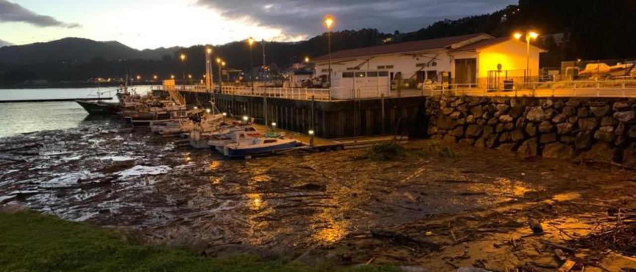 Toneladas de troncos flotando en el puerto deportivo y pesquero de San Juan de la Arena.