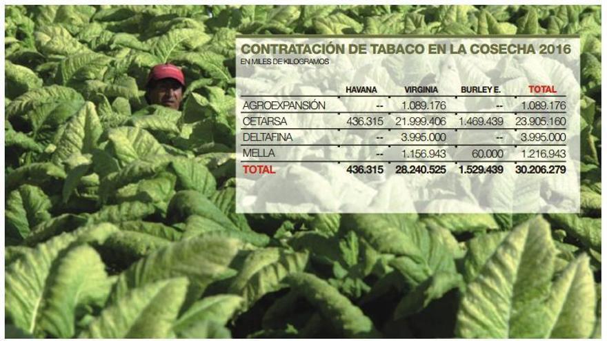 Cetarsa mantendrá la contratación de tabaco por encima de 22.000 toneladas