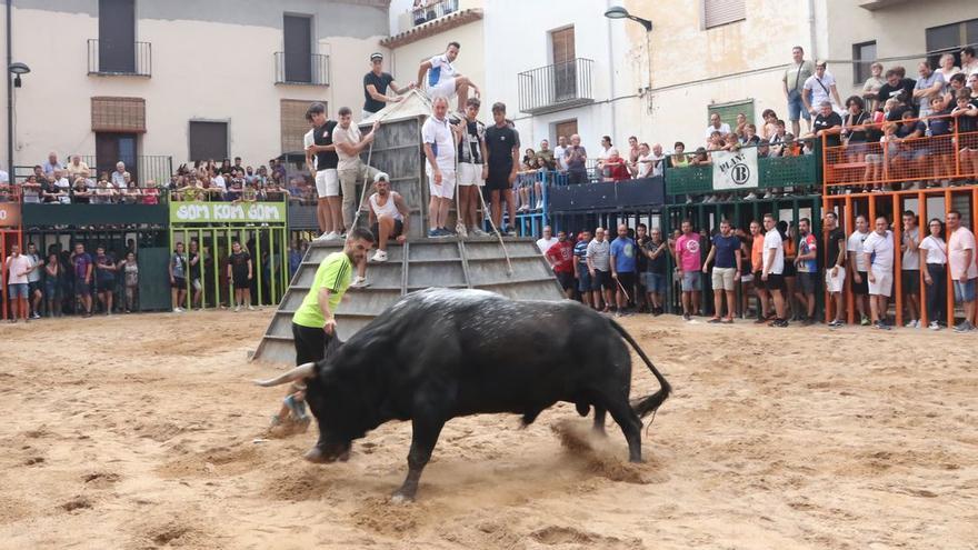 Los aficionados y el público en general disfrutaron con el toro del hierro de Beteta que se exhibió ayer en les Useres.