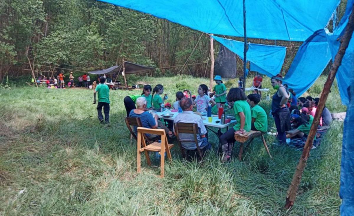 Con los sabios del bosque para identificar plantas silvestres. | Senda Norte