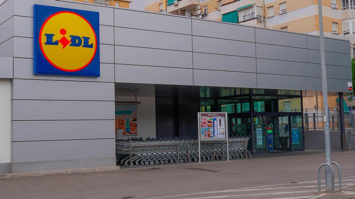 Mañana se esperan colas kilométricas en Lidl para conseguir la bicicleta eléctrica todoterreno más barata del mercado: tres niveles de asistencia y función para dominar cualquier ascenso.