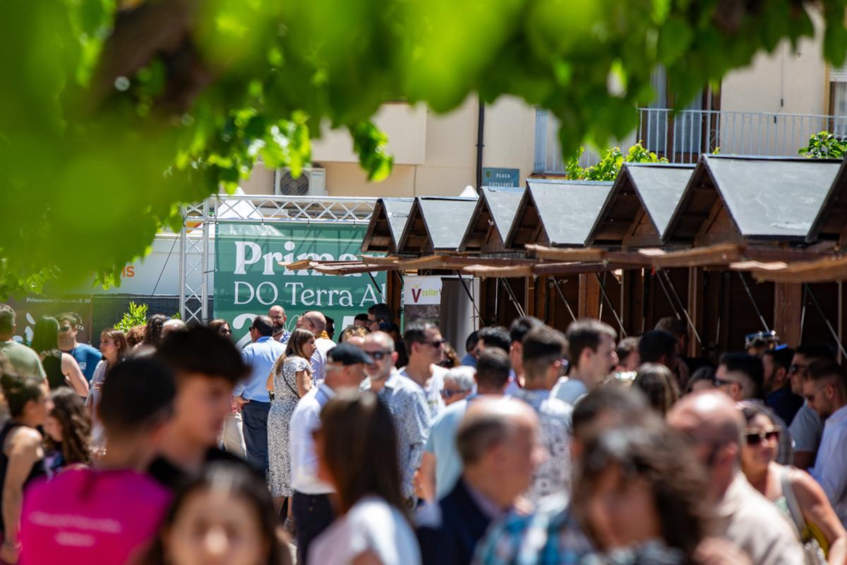 La Primavera DO Terra Alta 2026 afronta una nueva edición plagada de actividades.