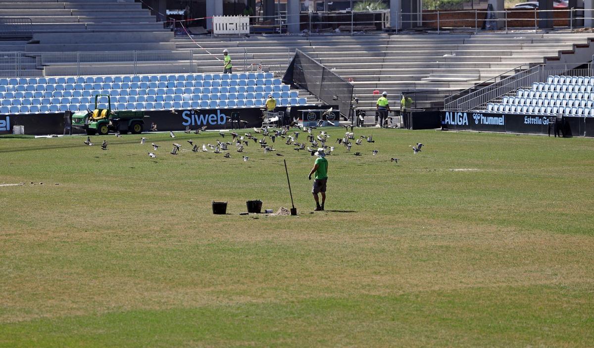 El Celta inicia la retirada del césped dañado en Balaídos