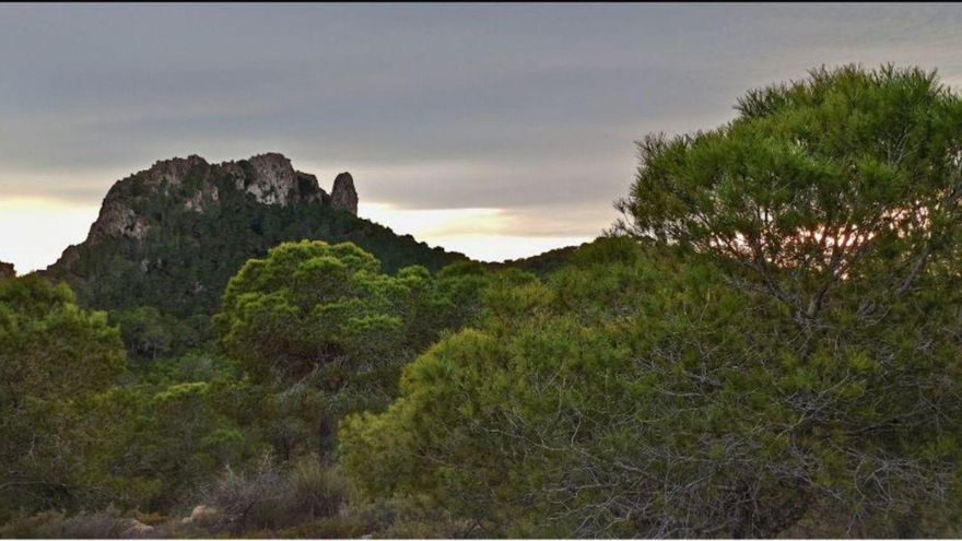 La nueva urbanización de Corvera meterá presión al parque Carrascoy
