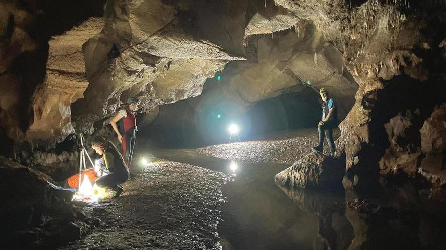 Experiencia única en la cueva más famosa de Castellón: conocer la parte oculta de las grutas que casi nadie ha visto