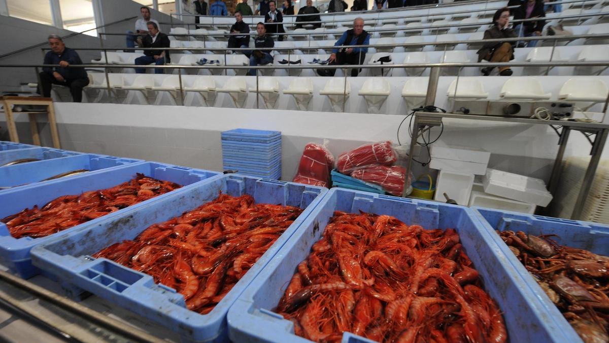Subasta de gamba roja en una lonja pesquera en una imagen de archivo.