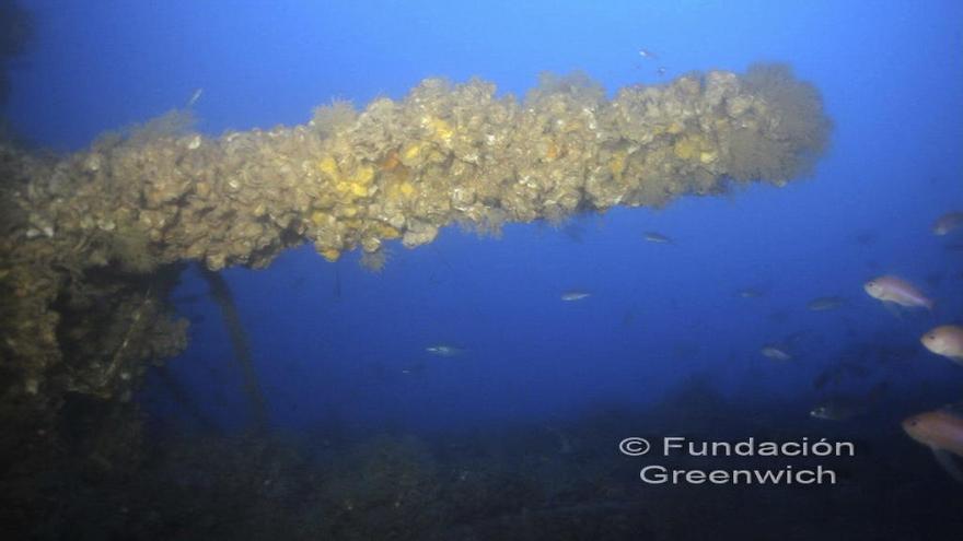 Graban con la protección de un barco de la Armada el documental sobre el submarino alemán hundido en Calp