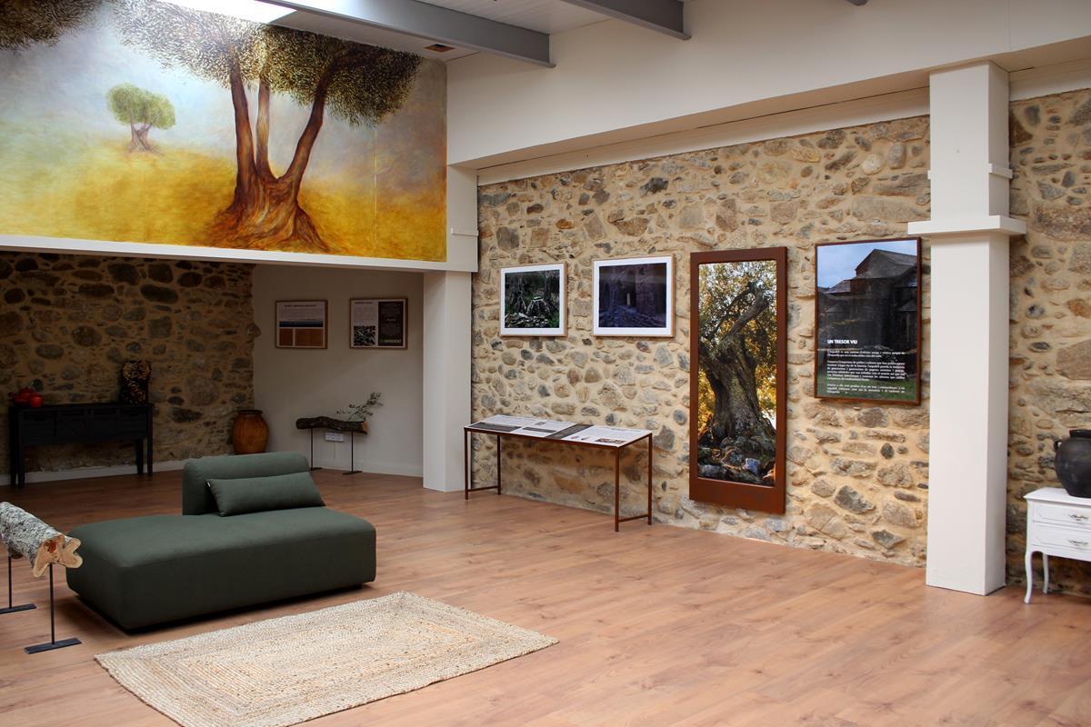 L'Espai Argudell a Sant Climent Sescebes.