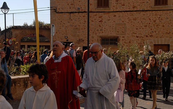 Domingo de Ramos en Santa Maria