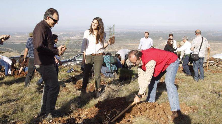 Un bosque del siglo XXI para la zona que se incendió en el 2009