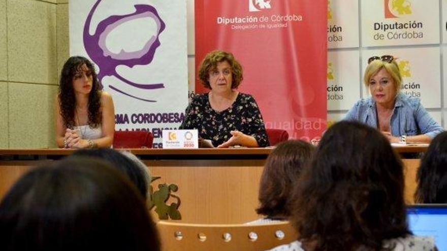 La plataforma contra la violencia exige la reforma del Código Civil &quot;para que se cumpla el Pacto de Estado&quot;