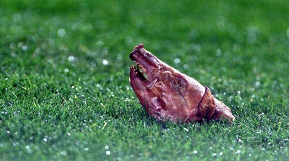 El cochinillo que le tiraron a Figo en el césped del Camp Nou.