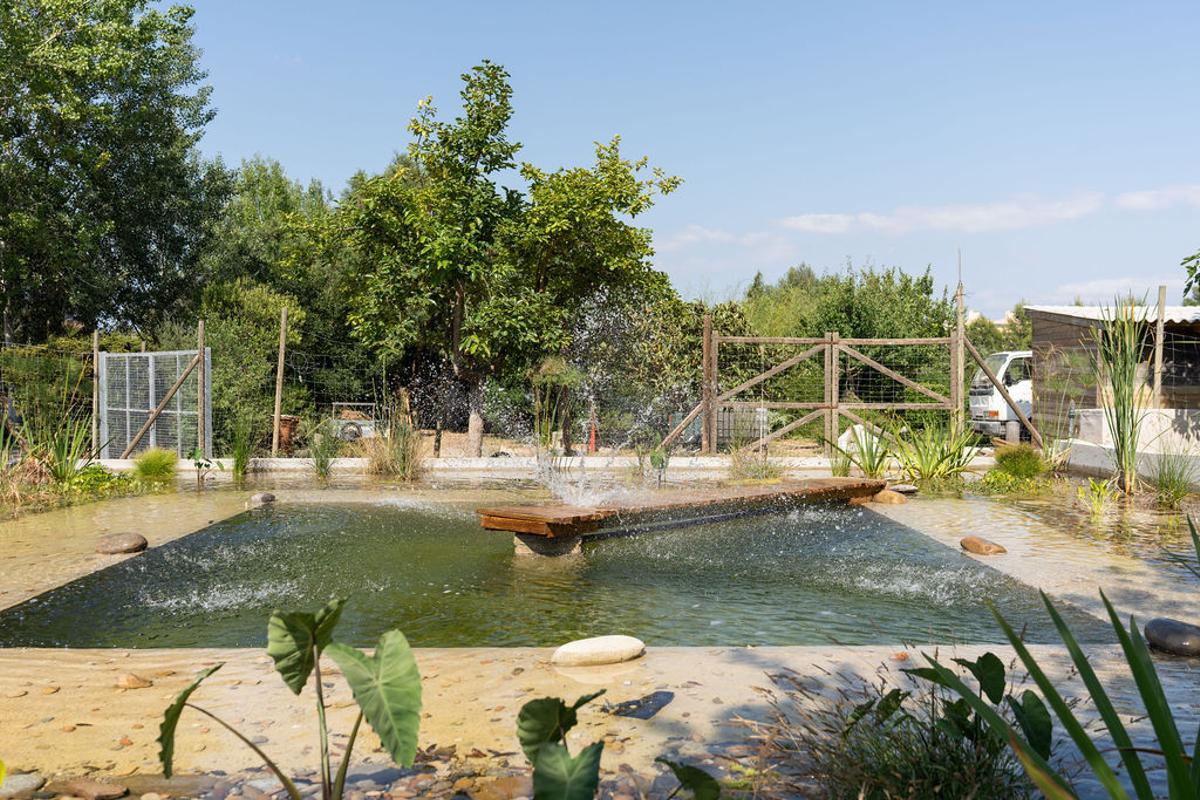 Imagen de uno de los proyectos ejecutados en el parque del Serral de ses Monges.