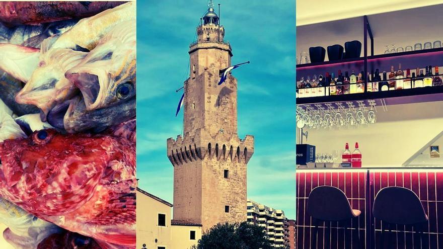 Entdecken Sie das maritime Palma: MZ-Leserausflug zur Fischhandelsbörse und zum Faro de Porto Pi