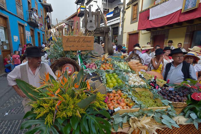 Carretas y grupos en la romería del Pino