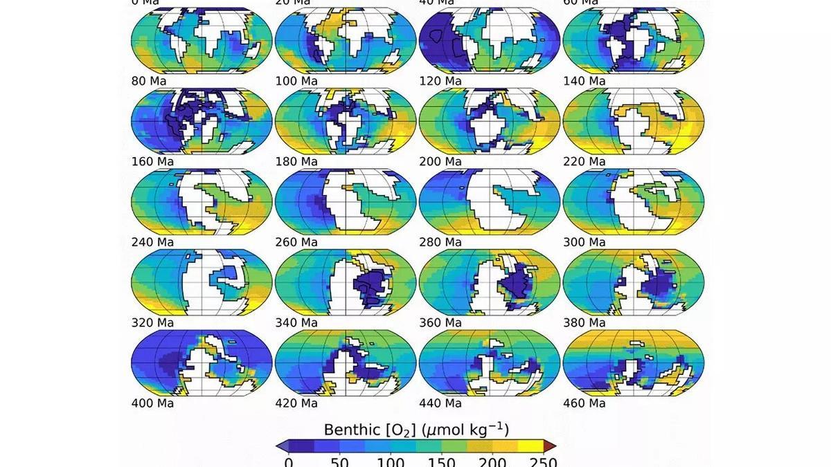 Concentración de oxígeno en el fondo del mar en las mismas condiciones pero diferente distribución continental.