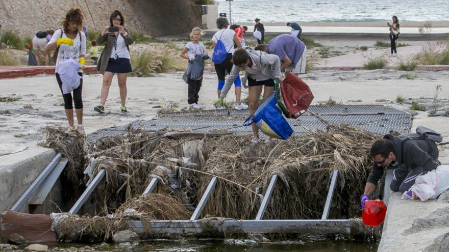 El grupo «Actuamos Alicante» limpia la Albufereta de toallitas y plásticos