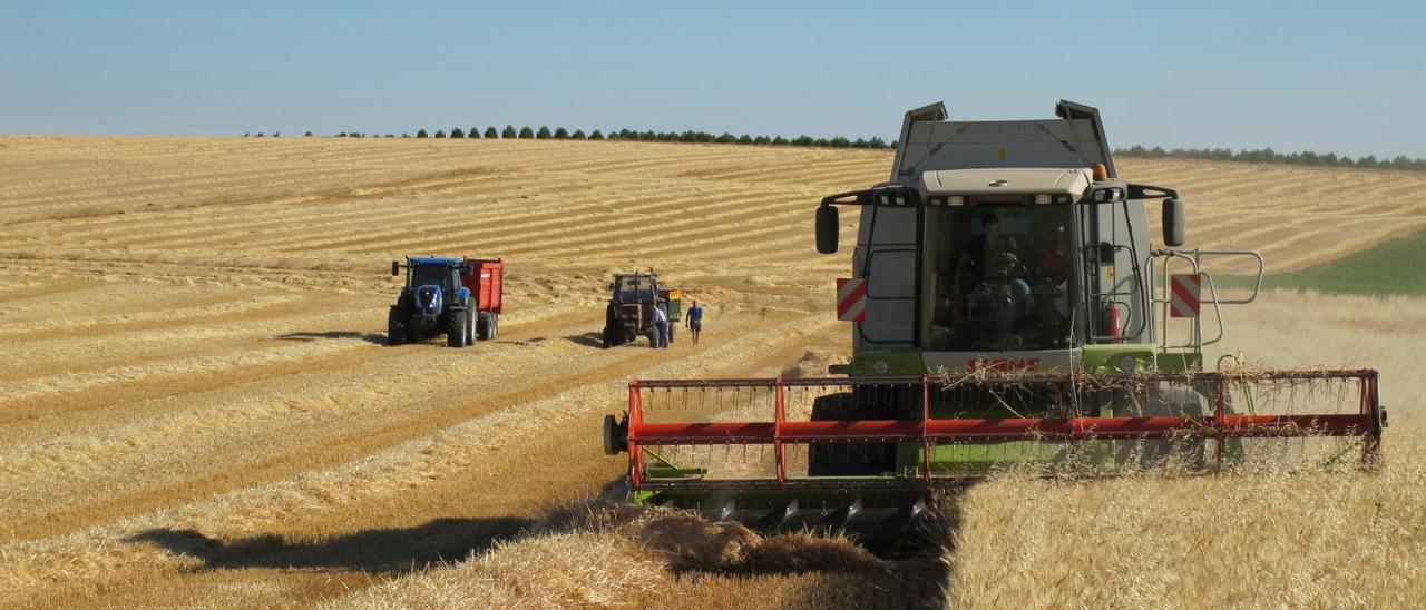 Un tractor arando un campo de cereal. // FDV