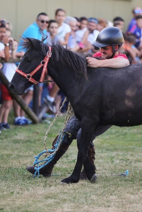 Día del Asturcón en las fiestas del Centro Asturiano