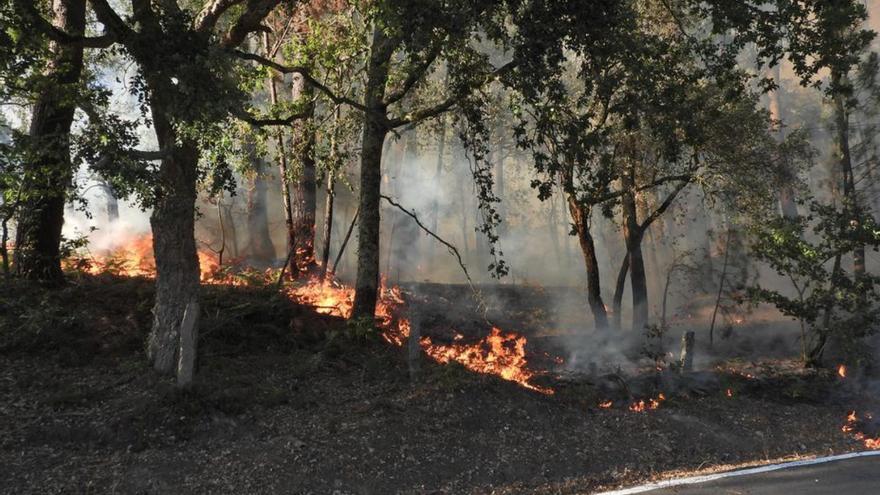 Las llamas queman 25,5 hectáreas en Oímbra y aparecen en Piñor y Dacón