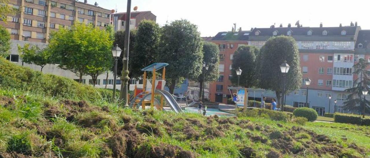 Destrozos causados por los jabalíes en el entorno del centro social y del centro de salud de Vallobín.