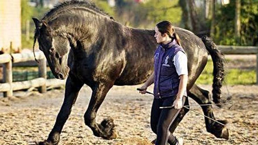 Confinament entre animals