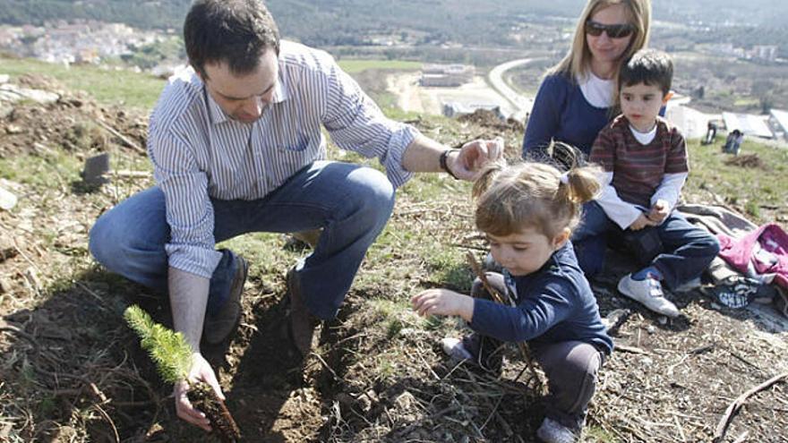 Planten més de 800 arbres a Montilivi