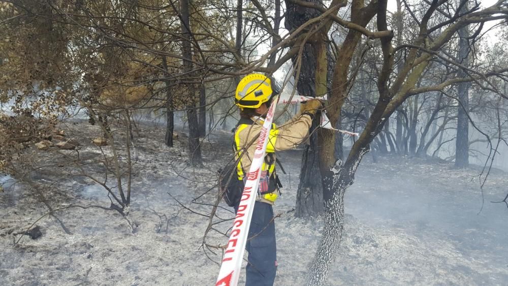 Segon incendi forestal a Artés