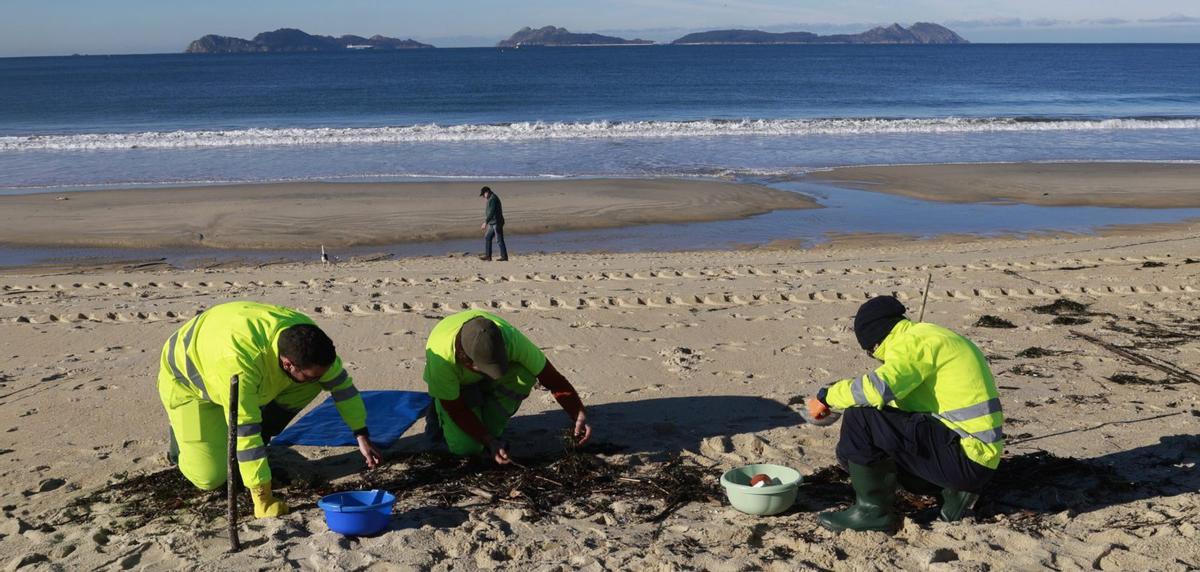 Brussel·les desaccelera les polítiques ambientalistes i suavitza la normativa