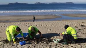 Brussel·les desaccelera les polítiques ambientalistes i suavitza la normativa