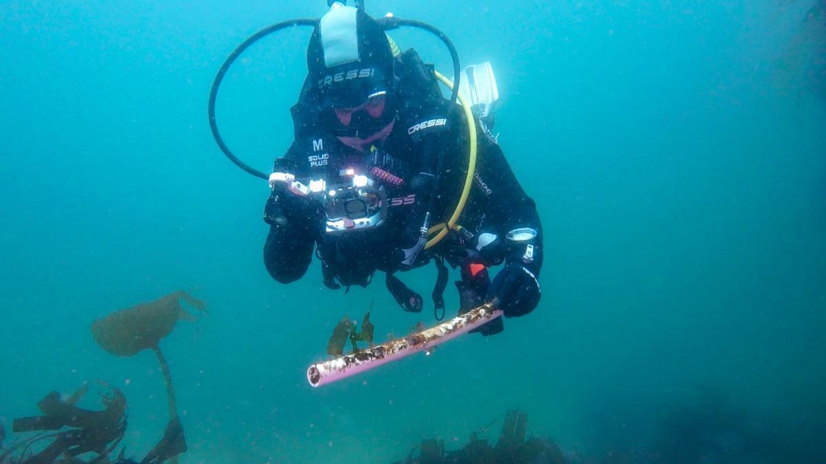 Uno de los submarinistas retirando desperdicios del fondo de Ons.