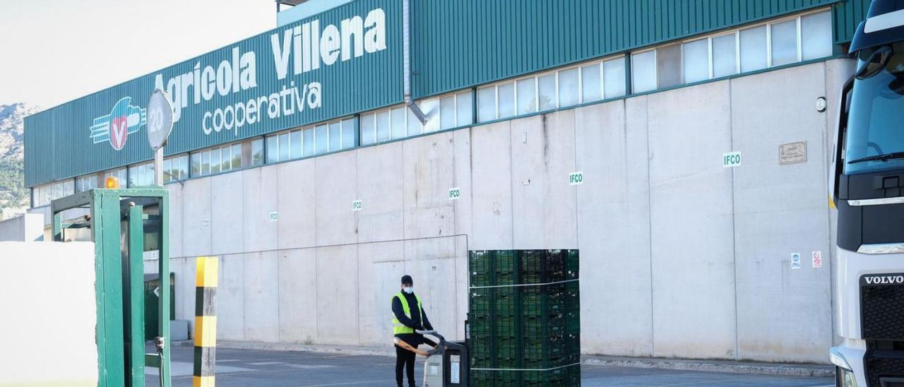 Un trabajador realizando tareas de carga y descarga este lunes en Agrícola Villena. | ÁXEL ÁLVAREZ