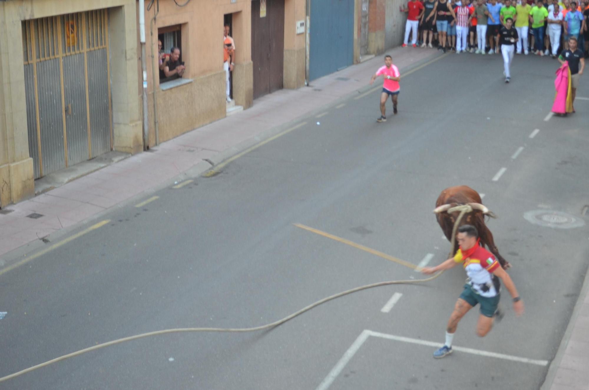 Así ha sido la carrera del torito Espléndido en Benavente