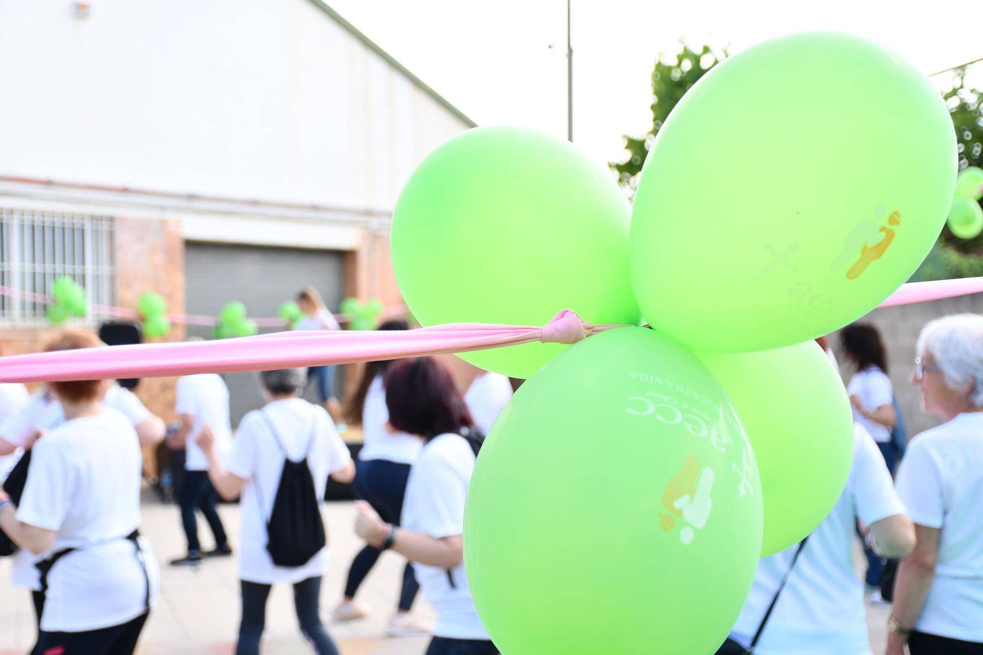 Todas las fotos de la marcha contra el cáncer de Vila-real