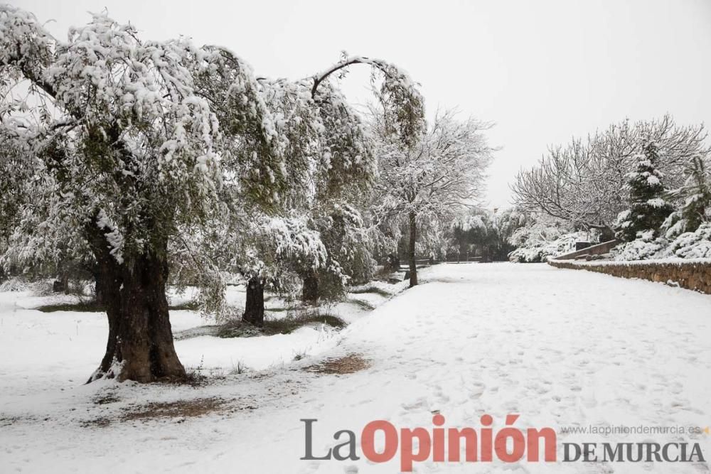 Nieve en las Fuentes del Marqués de Caravaca