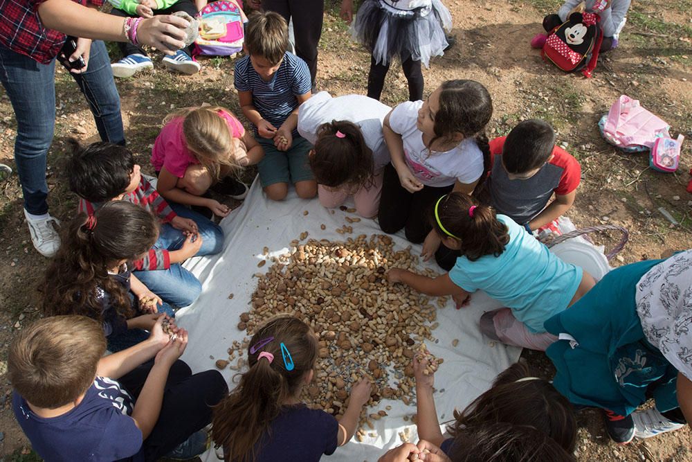 Alumnos de Can Cantó celebran una trencada en la Finca de Can Tomeu.