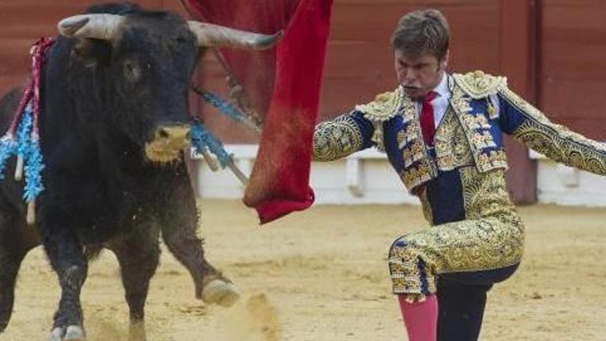 El novillero de Villafranqueza Alfredo Bernabéu, ayer, en la Plaza de Toros de Alicante.