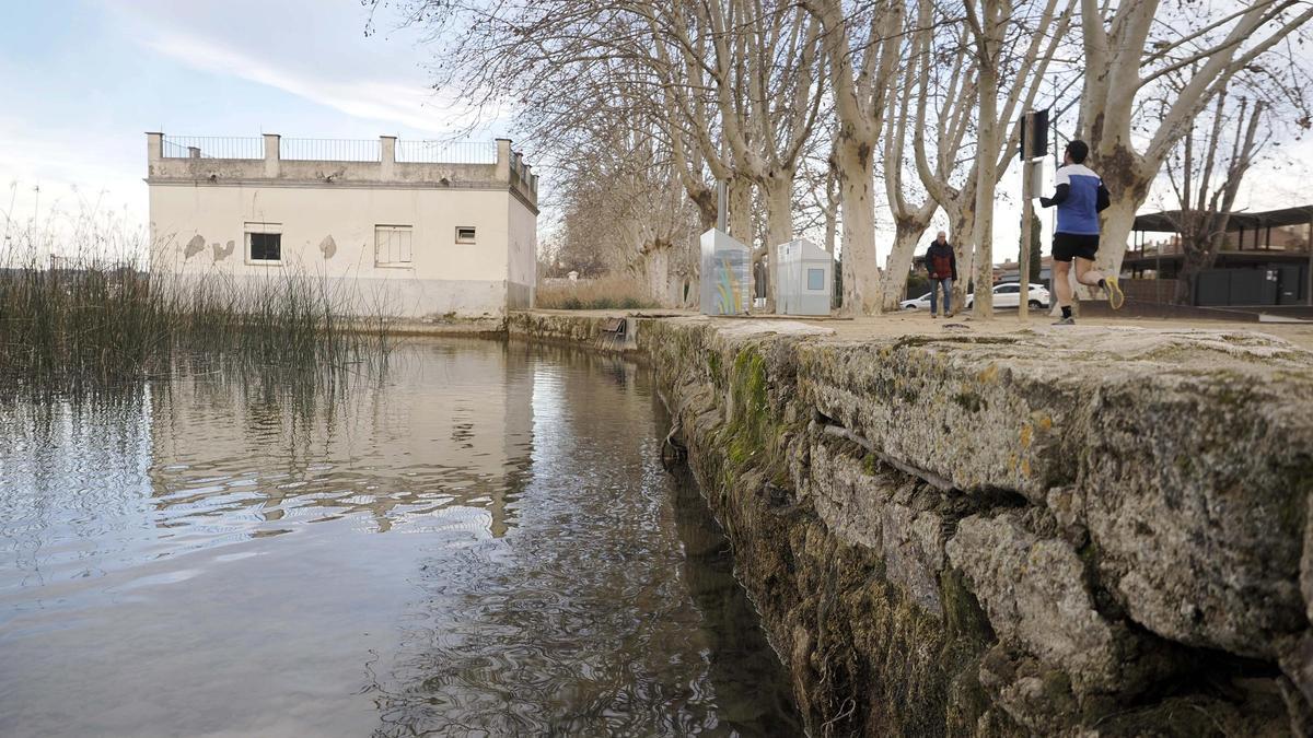 El nivell de l’aigua de l’estany.