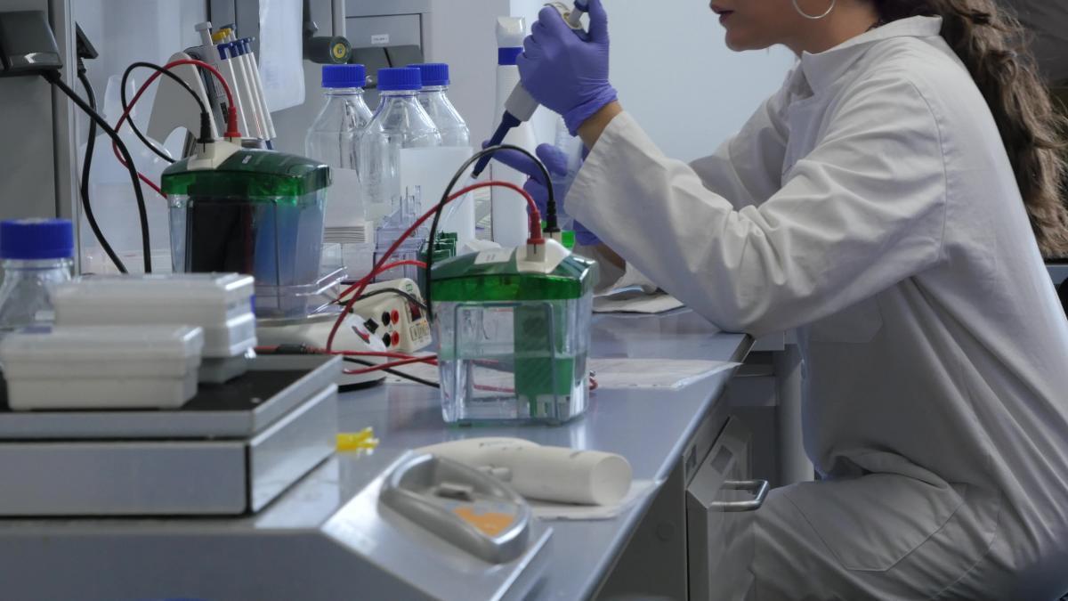 Laboratorios del Instituto Murciano de Investigación Biosanitaria (IMIB).