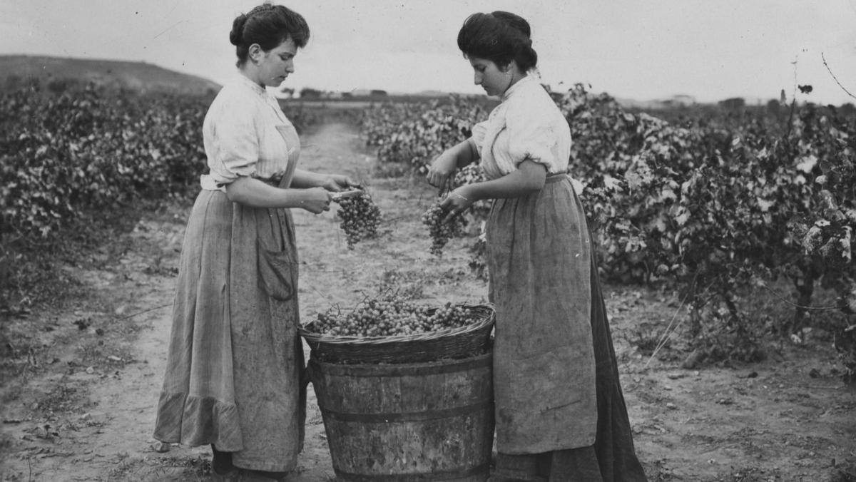 Dos mujeres, trabajando en la viña de Codorníu a principios del siglo XX.