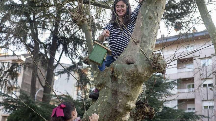 Instalan 50 cajas-nido en el campus para favorecer el anidamiento y la cría de aves