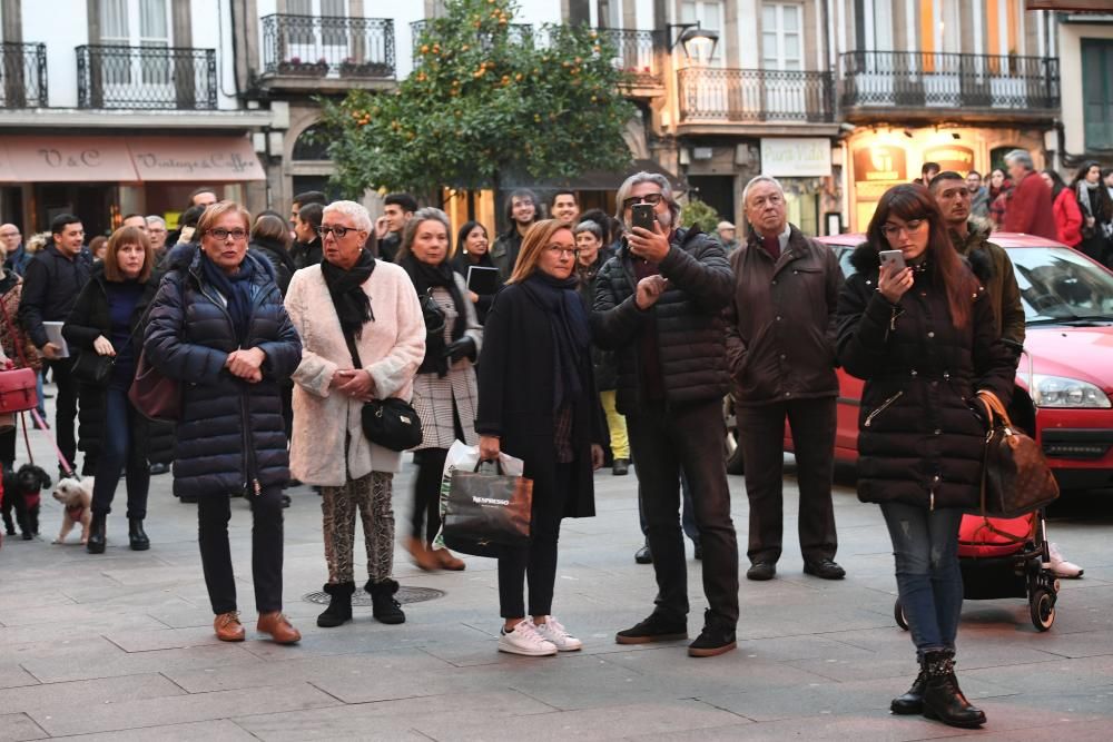 Los Bomberos de A Coruña rescatan a un perro