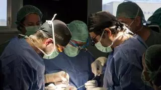 Málaga, líder en Andalucía en trasplantes de órganos
