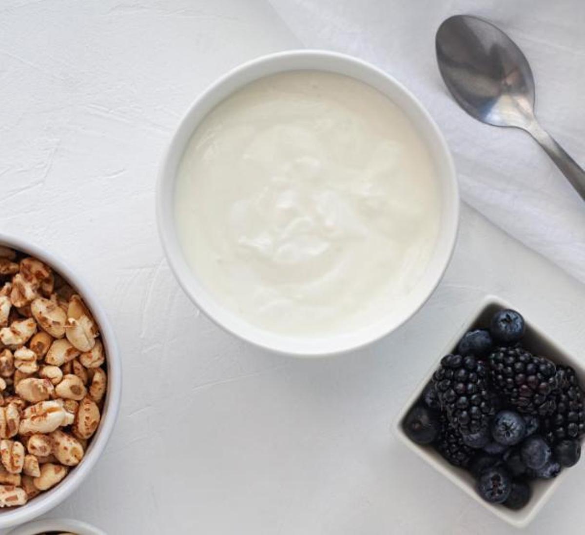 Quin és el millor iogurt grec?